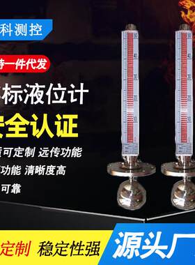 浮标液位计厂家柴汽油磁翻板液面计磁翻柱大浮球浮标玻璃管液位计