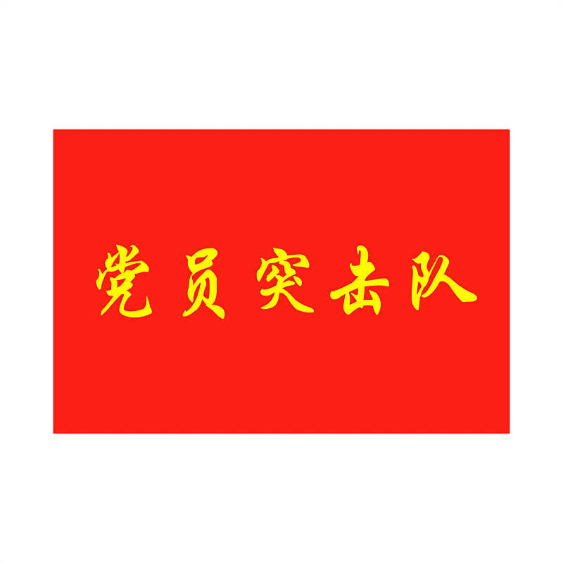 党员突击队队旗 党员队旗 旗帜定制 旗子制作 4号党员旗 队旗旗子