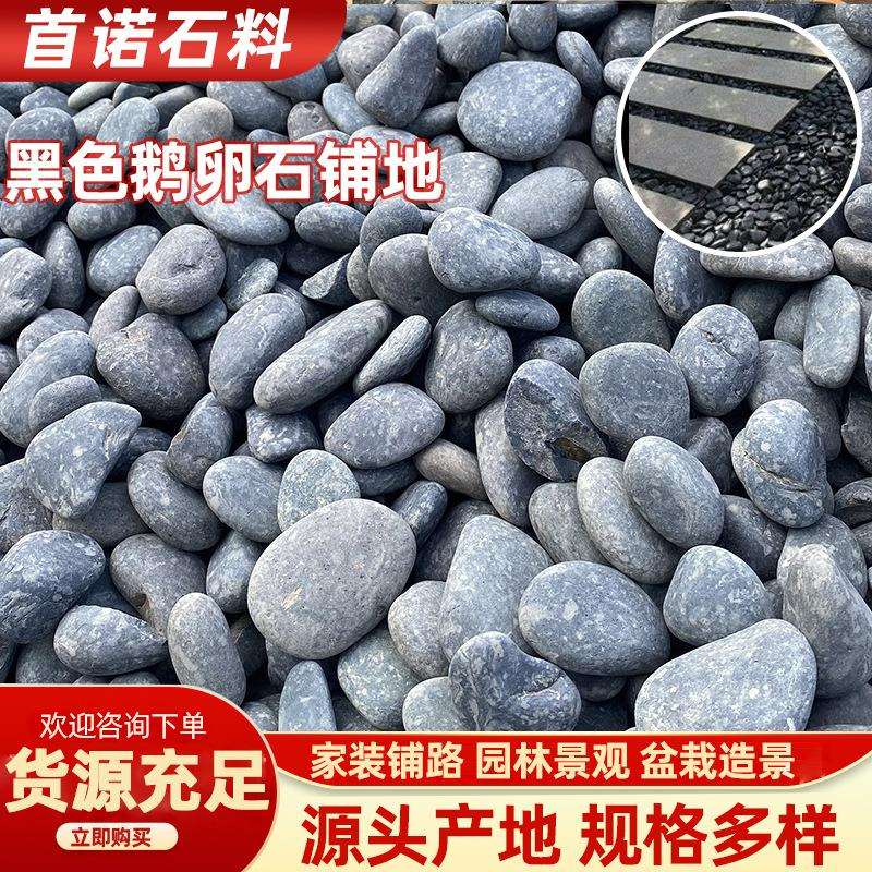 黑色鹅卵石厂家大小黑石头庭院铺地铺路花园造景天然雨花石原石