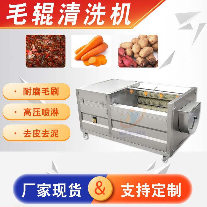 商用带壳海鲜去泥沙清洗设备全自动果蔬土豆胡萝卜毛辊清洗机