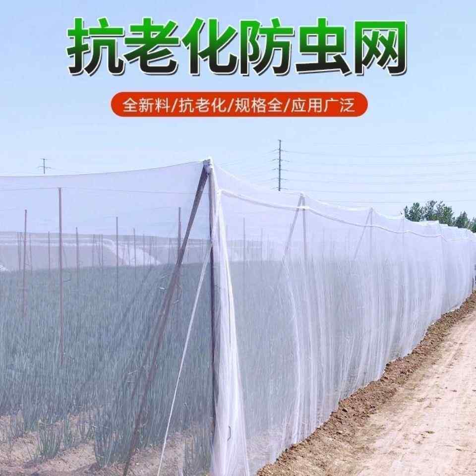 大棚养猪场庭院防柳絮蔬菜大棚防虫纱网果园防虫网牛蛙围网蚂蚱网,农机/农具/农膜,农用防虫网,淘宝优惠券,粉丝福利购,淘宝优惠卷