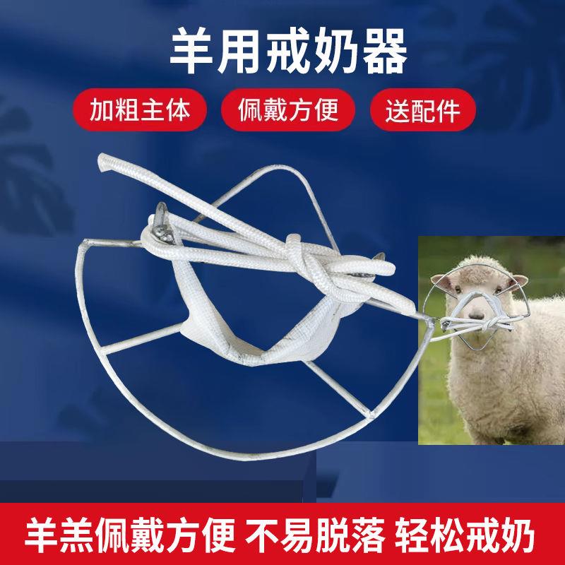 2024新款神器奶器小羊犊