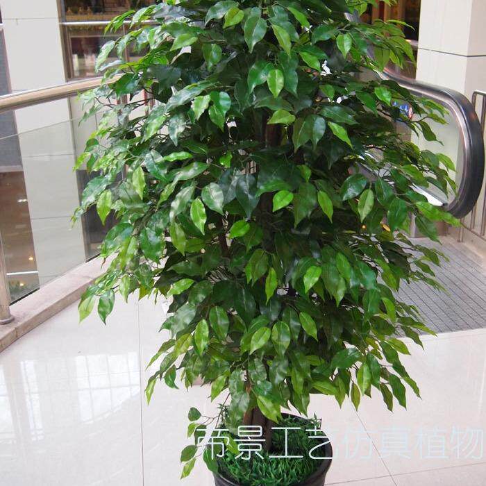 仿真大型5杆过胶手感装饰榕树真树干塑料大盆景落地布景花园入