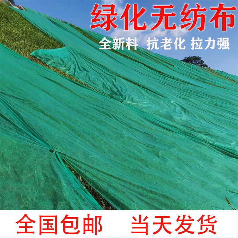绿化不织布绿色透气膜工地防尘盖土布草坪绿化护坡边坡植草不织布