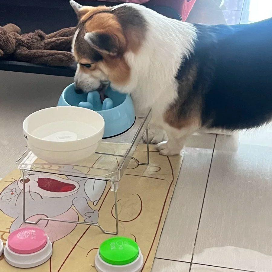 猫碗增高架狗碗加高狗盆支托架护颈猫咪饭碗吃饭架子餐桌狗狗饭桌