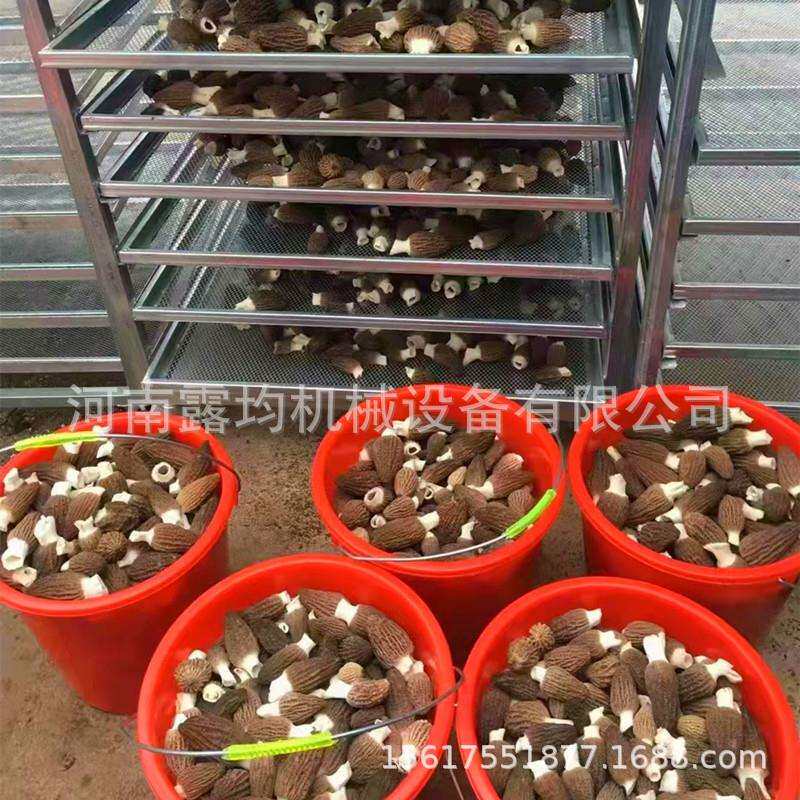 热风烘干房空气能香菇干燥设备小型烘羊肚菌的烘干机多少钱一台
