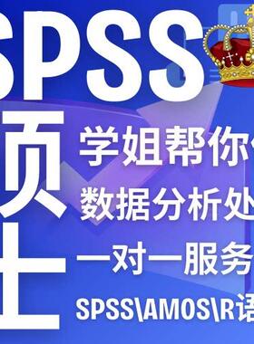 SPSS数据分析代做R语言AMOS验证性因子分析STATA实证代码PYTHON