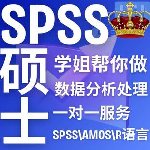 SPSS数据分析代做R语言AMOS验证性因子分析STATA实证代码PYTHON