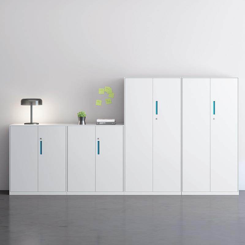 件柜钢制铁皮柜办室资料档文案柜公带锁储物柜优美-优衣柜带更抽