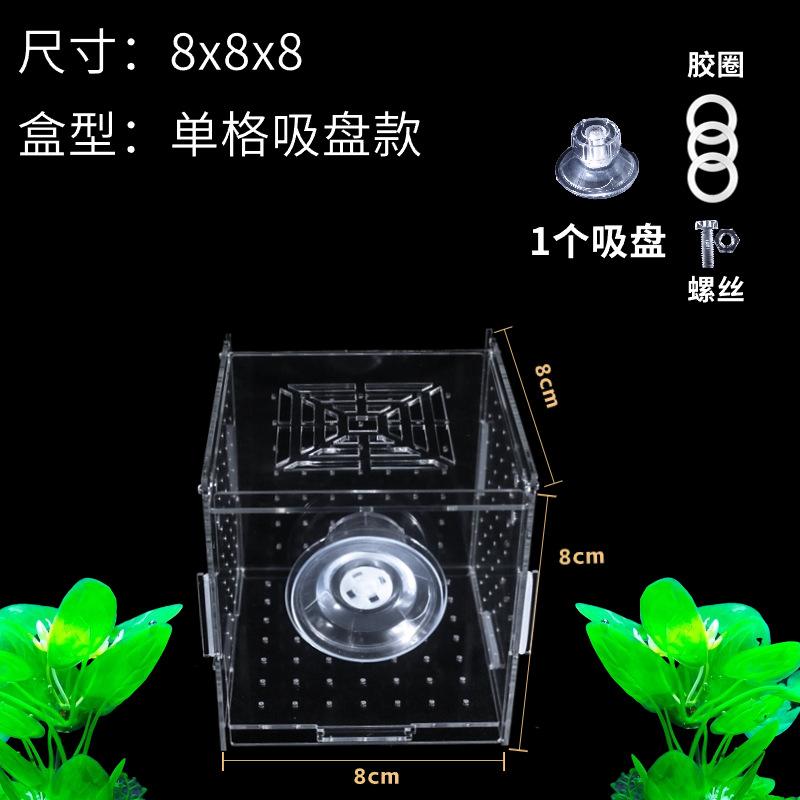 亚克力鱼缸隔离透明孵化孵化器