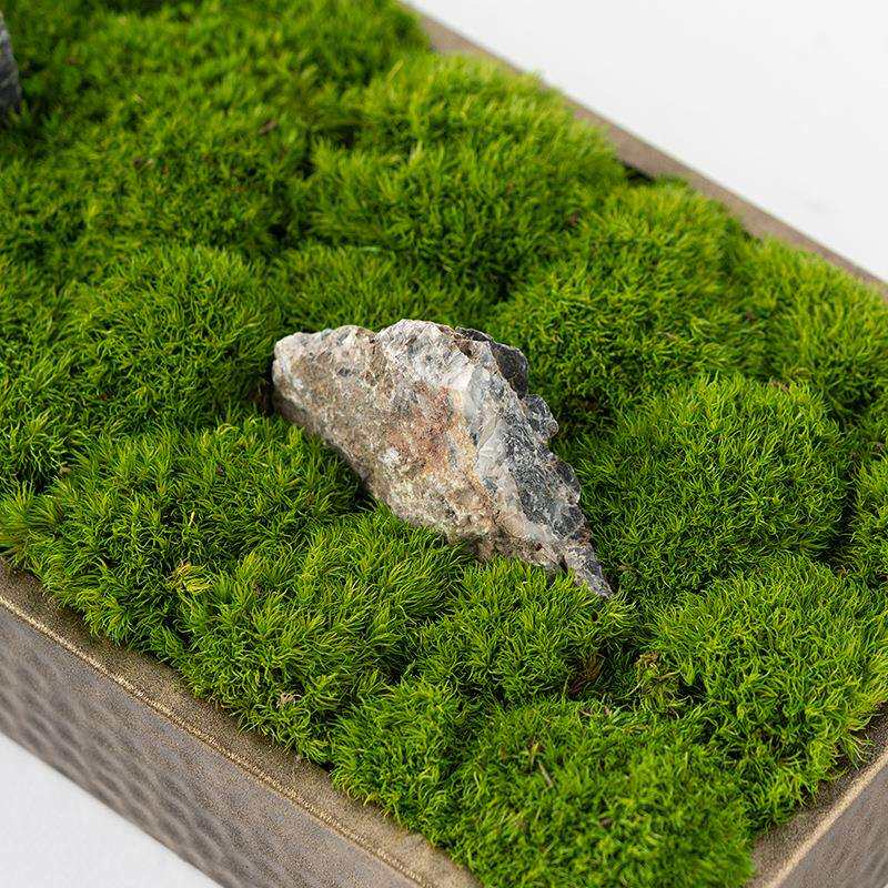 新中式永生苔藓干花绿植盆景装饰玄关餐桌茶几会议桌洽谈桌摆件