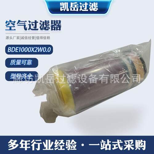 厂家BDE1000X2W0.0空气过滤器净化除尘呼吸干燥过滤器空气滤清器