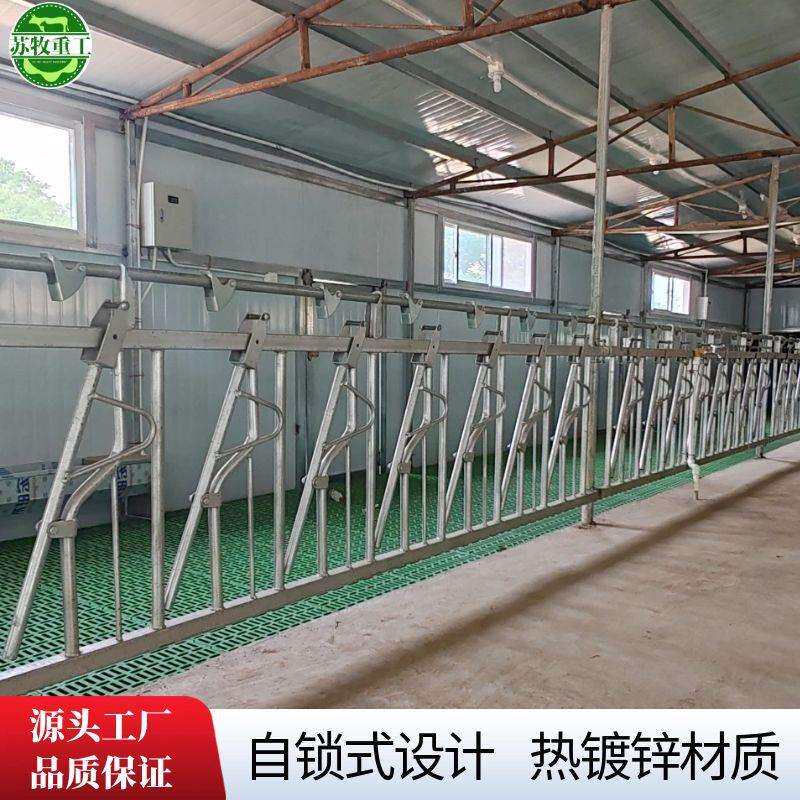 畜牧设备羊颈夹自锁式设计固定羊只3米9位苏牧重工养羊场专用