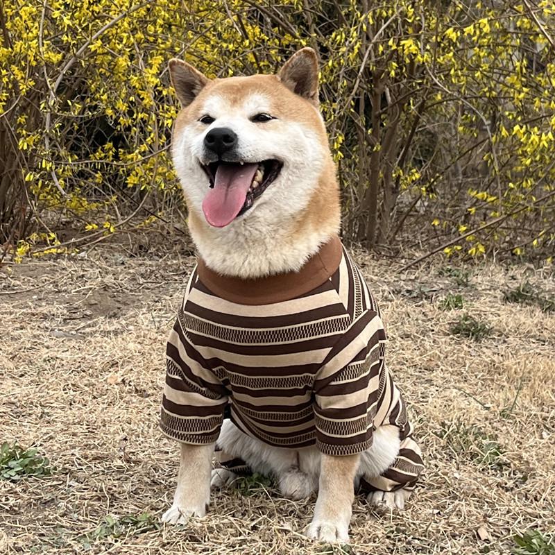 大狗衣服 春夏装金毛秋田拉布拉多中大型犬狗狗防掉毛防晒四脚衣