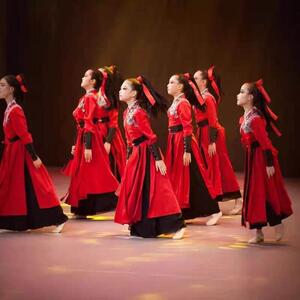 雪龙吟舞蹈演出服象王行九州同古装扇子少年志红昭群古典舞表演服