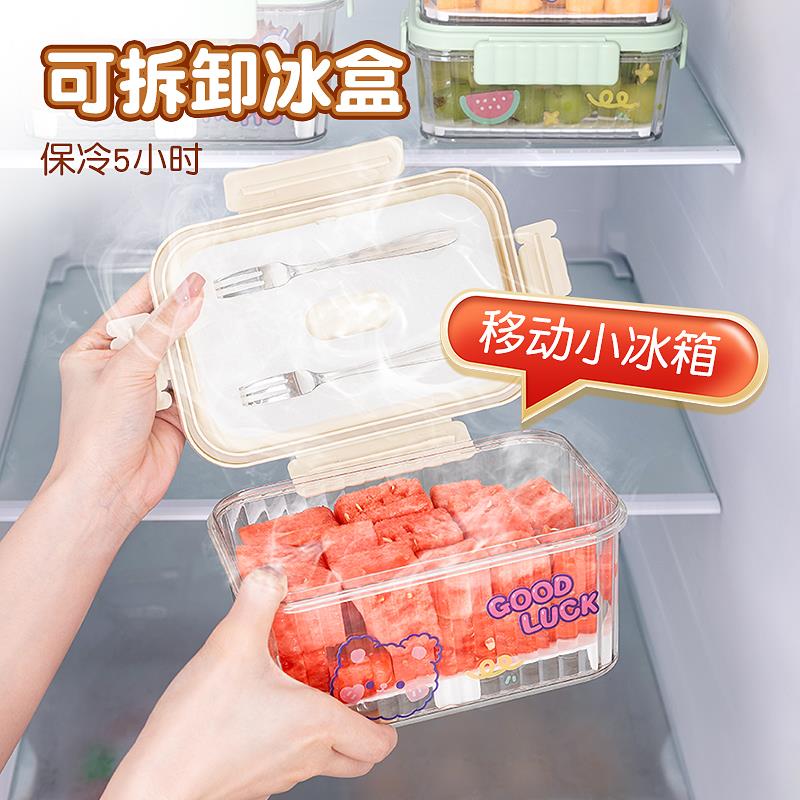 夏日移动小冰箱保鲜盒外出水果小学生便当盒自带冰盒保冷食物盒图片