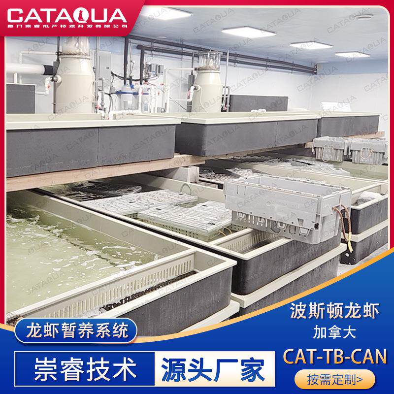 加拿大波斯顿龙虾暂养系统海鲜PP暂养池龙虾养殖蛋白质分离器