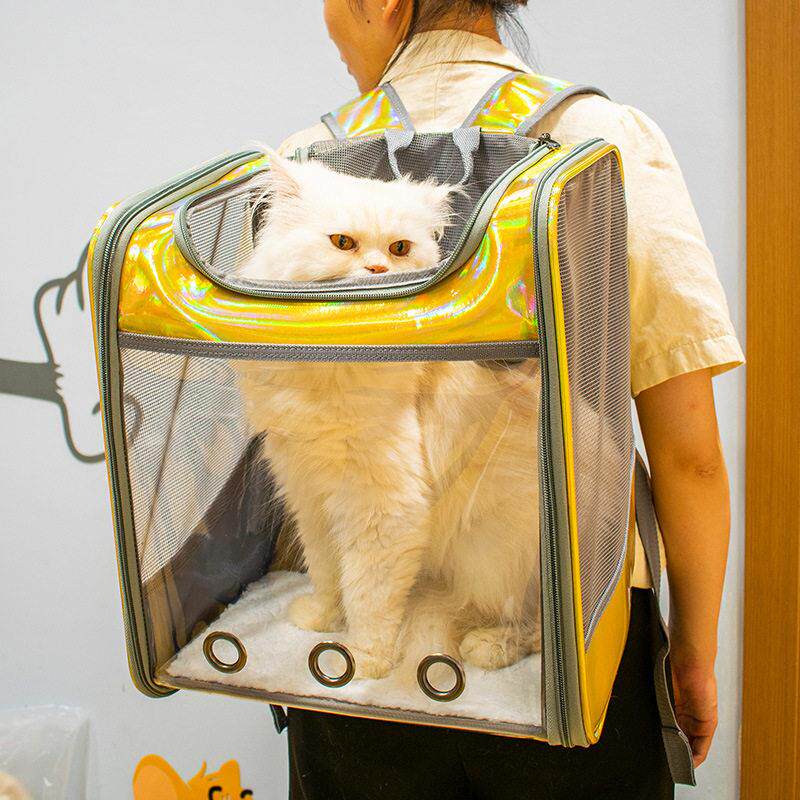 宠物猫可折叠双肩容量透明外出包