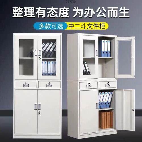 文铁件柜钢制柜HJL办公皮资档案柜员工储物更衣柜五料层凭证带锁