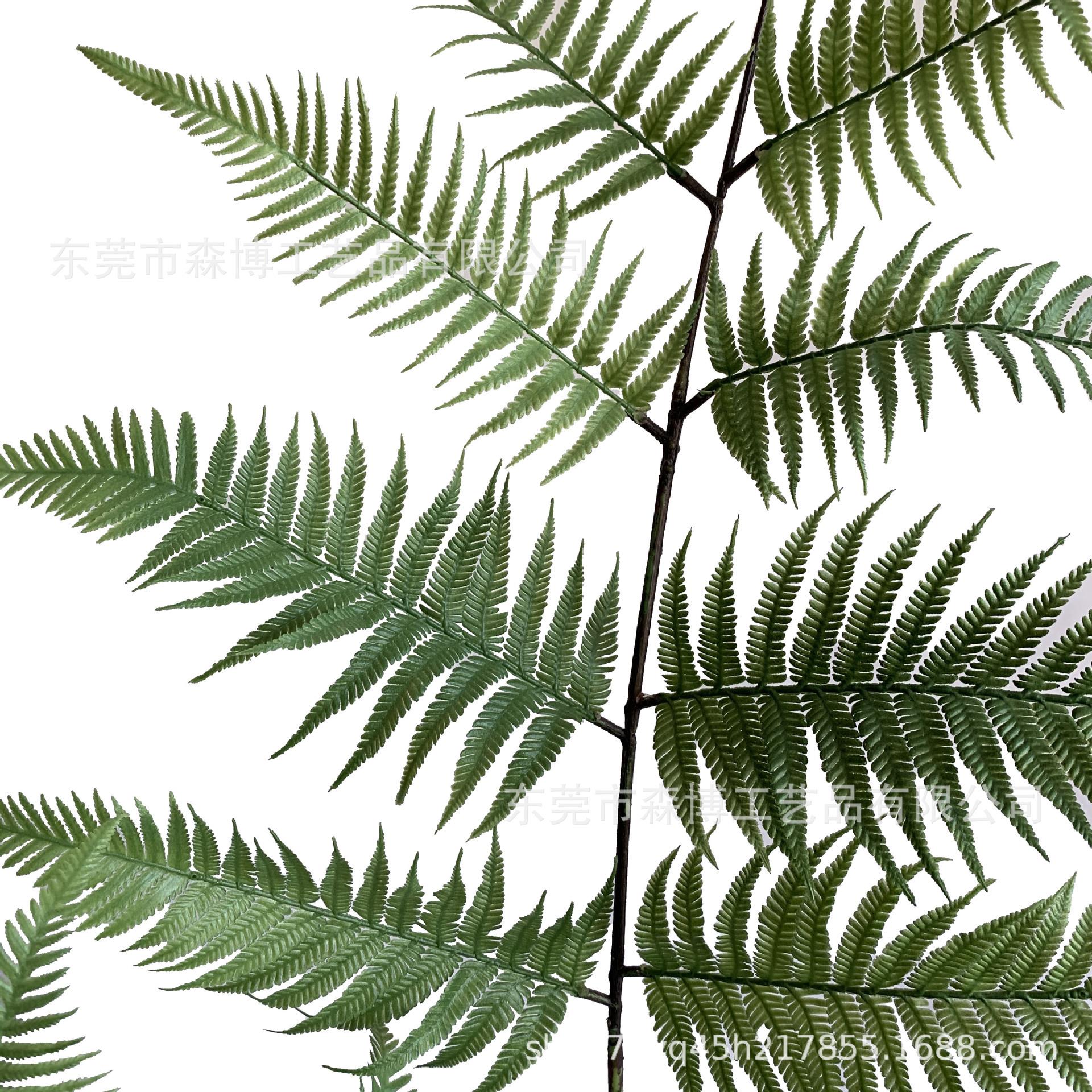 室内仿真植物金丝禅意猴蕨大型落地盆栽客厅绿植玄关装饰摆件