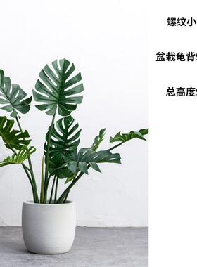 新款北欧简约绿植盆家居装饰厅口花径白色摆件景德镇陶客大瓷落地