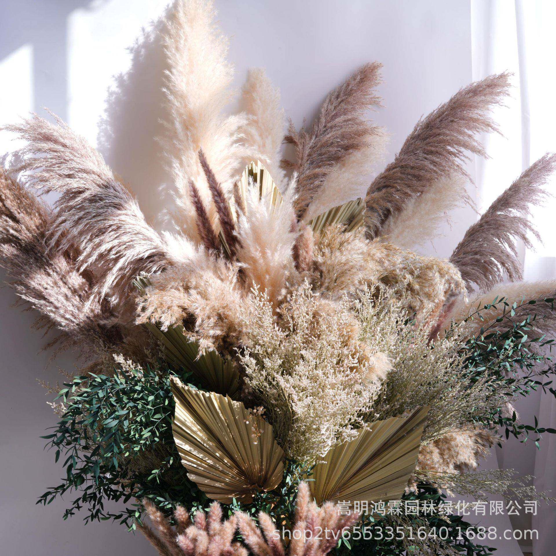干花蒲苇造景婚礼布置装饰芦苇蒲扇尤加利小真花立体造景