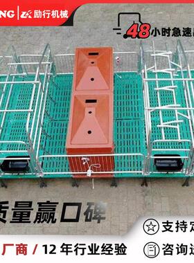保育床仔猪双体塑料复合板热镀锌管保育栏母猪产床定位栏养猪设备