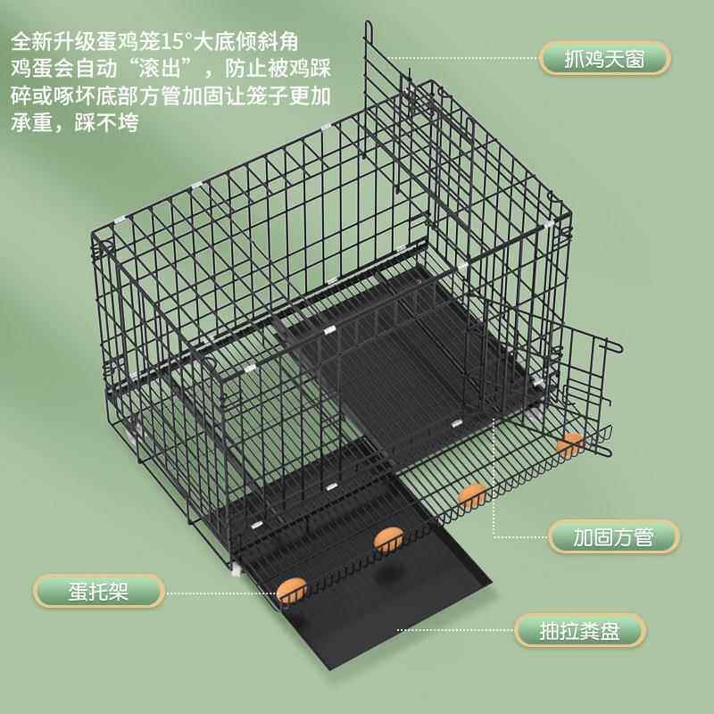 鸡笼子家用大号加粗养殖笼鸡舍鸡笼鸭笼折叠自动滚蛋鸡笼