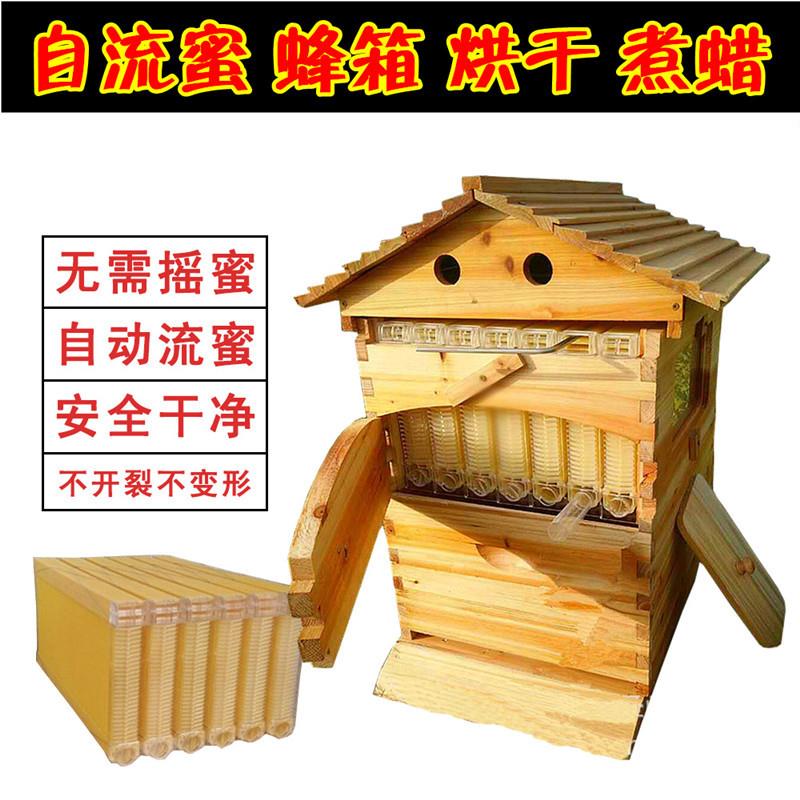 自流蜜蜂箱蜜蜂蜂箱全自动全套蜜蜂别墅自流蜜蜜蜂箱蜜脾蜂巢