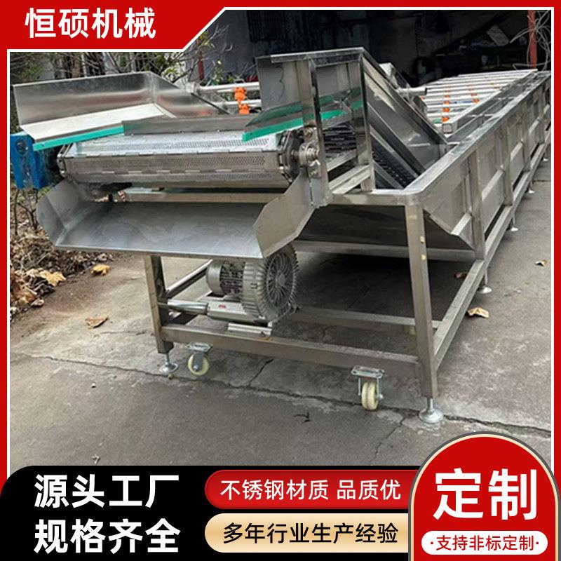 蓝莓枸杞果蔬气泡清洗机中药材气泡清洗机自动菠菜叶萝卜清洗设备