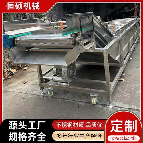 商用连续叶类清洗设备不锈钢果蔬气泡清洗机柑橘高压气泡清洗机