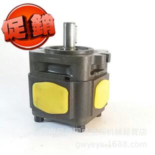 替代HESAPP齿轮泵 BIG50100液压泵齿轮泵内啮合齿轮泵HDS原装