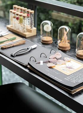 样板间阳台花艺多肉植物园艺工具DIY手作装饰品飘窗书桌桌面摆件