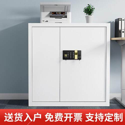 保密柜文件柜办公室电子密码锁双锁资料带锁铁皮收纳柜矮柜保险柜