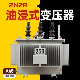 S-100KVA/6KV降压400V油浸变压器160kw三相250电力1000变压器
