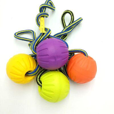 EVA Floating Pet Dog Training Ball Puppy Bite Resistant Ball