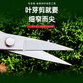 专用工具剪插花修剪根多用剪造型剪工具园艺剪家庭剪分盆景苗修枝