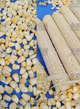 东北玉米脱粒机吉林甜玉米剥粒机辽宁嫩玉米刨粒机工厂直销