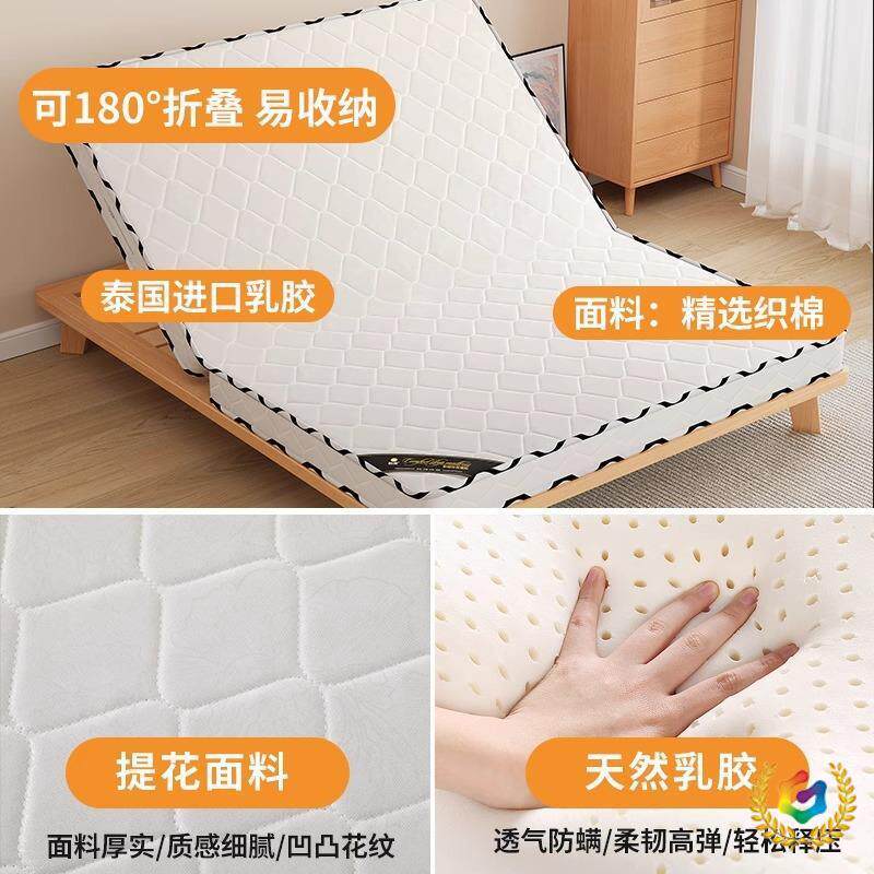 棕垫天然椰棕床垫棕榈垫儿童家用护腰护脊硬垫出租房用可折叠床垫