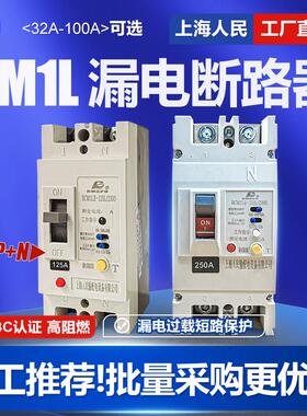 CM1LE单相漏电断路器63A 100A 125A 160A 250A塑壳漏保220V空开2P