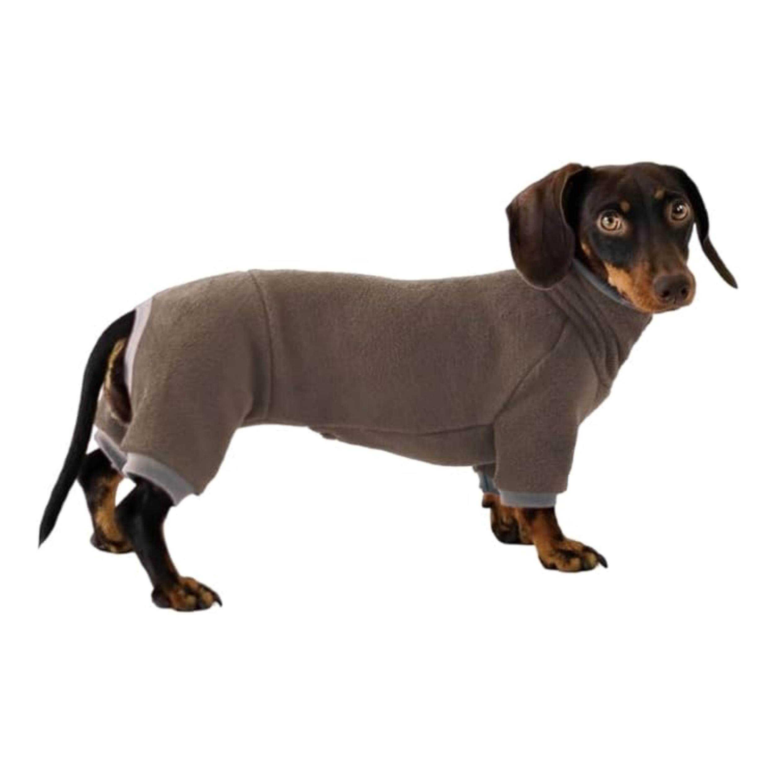 腊肠犬秋冬保暖奥利绒咖色打底衫 腊肠狗衣服 厚款四脚衣