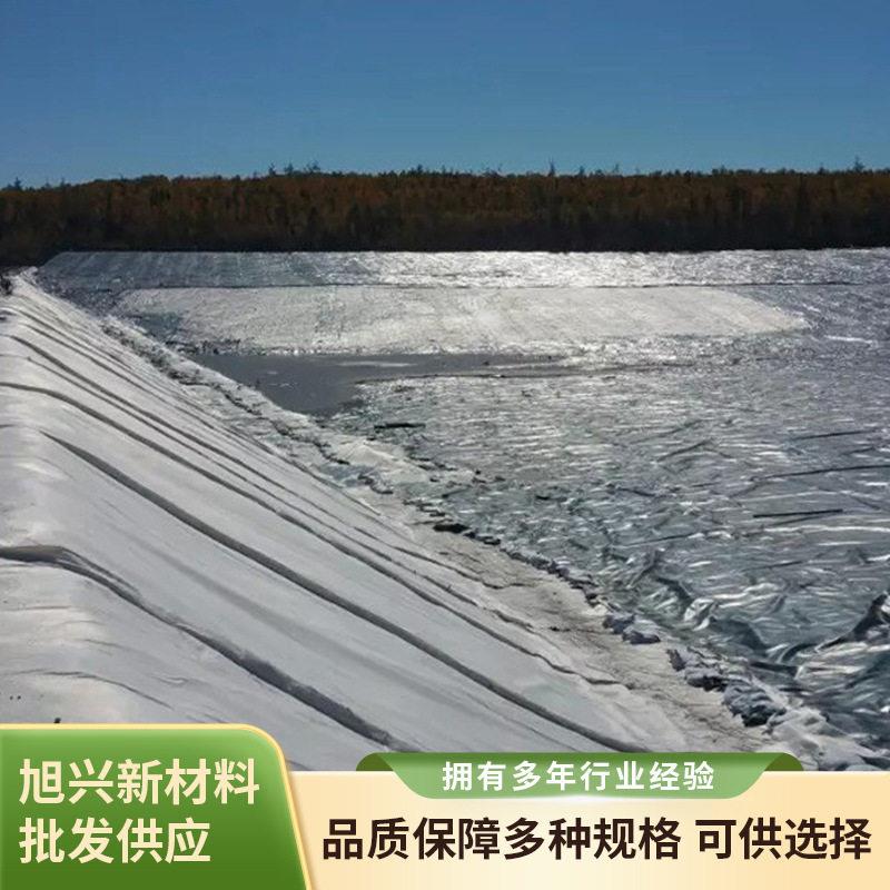 尾矿库防漏水土工膜油田油防渗膜垃圾场土工膜养殖膜供应