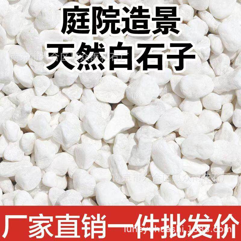白石子鱼缸园林庭院盆栽造景鹅卵石花园夜光石景观石装饰厂盆景