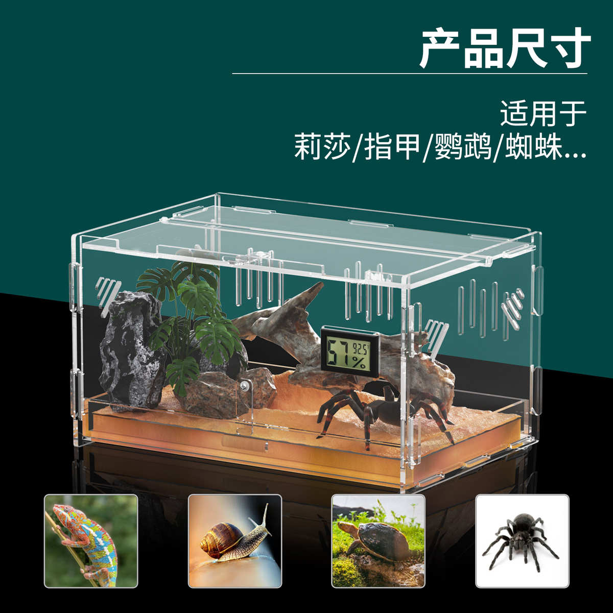 造景宠物箱饲养饲养盒力蜘蛛生态亚克观赏守宫透明盒