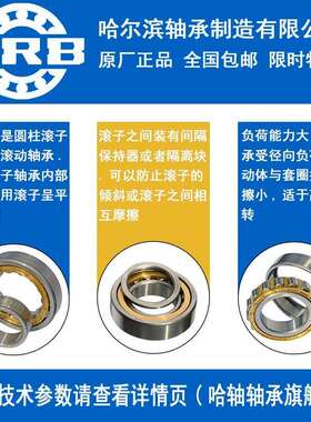 HRB 哈尔滨轴承 N NU NJ NUP 238 240 244 248 E M EM 圆柱滚子
