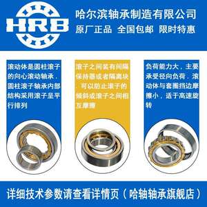 HRB 哈尔滨轴承 NN 3005 3006 3007 3008 K/W33 P5 P4 圆柱滚子