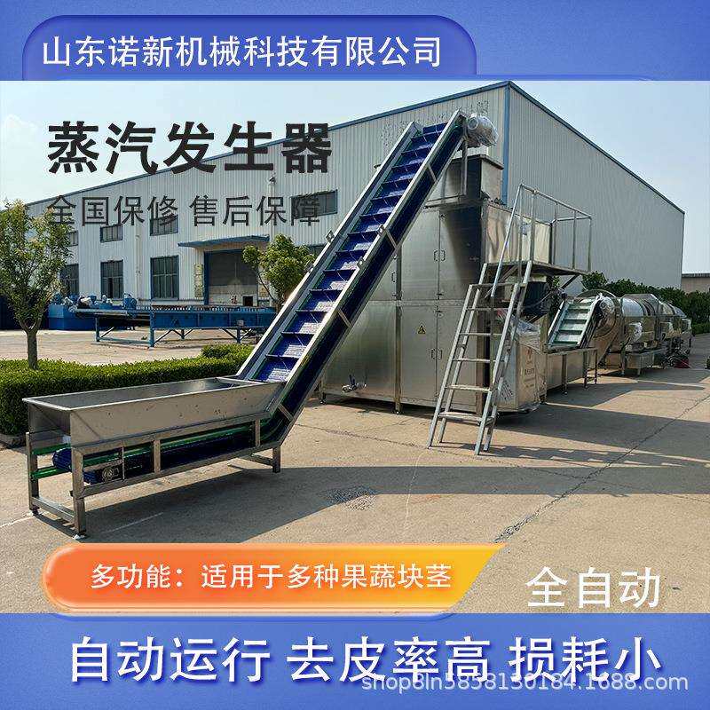 葡萄蒸汽物理去皮机红提脱皮设备速冻葡萄加工设备葡萄罐头加