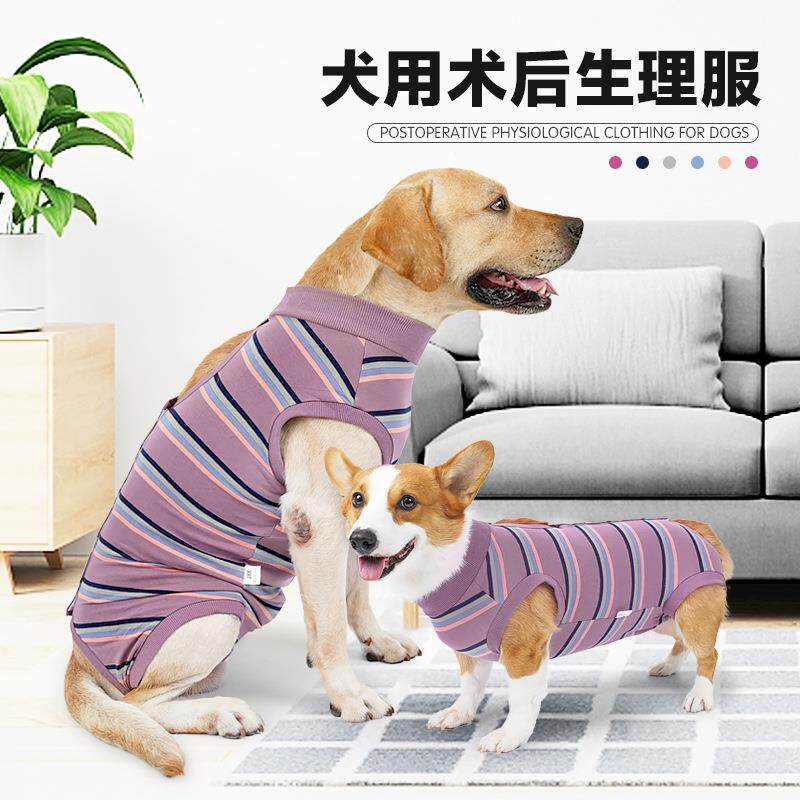 跨境宠物用品狗狗衣服魔术贴绝育服生理服可放尿垫康复服厂家