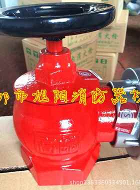 国标SNW65-ISN65、SNII防5栓D6消火栓2.5寸SN65室内消火消N栓五铜