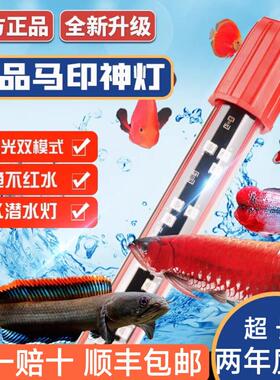 马印红龙发色LED灯 水族箱增色灯 鱼缸三基色发光灯 雷龙红色增艳